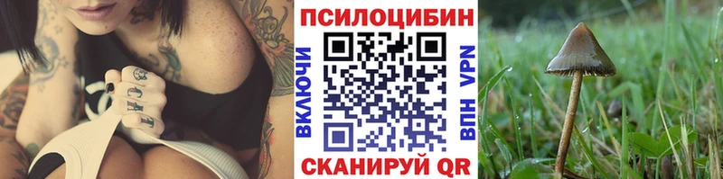 Галлюциногенные грибы мухоморы  купить наркотики цена  Коммунар 